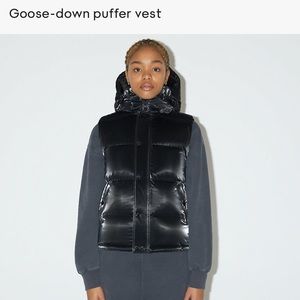 Aritzia liquid shine puffer